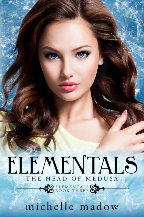 Elementals 3: The Head of Medusa by Michelle Madow