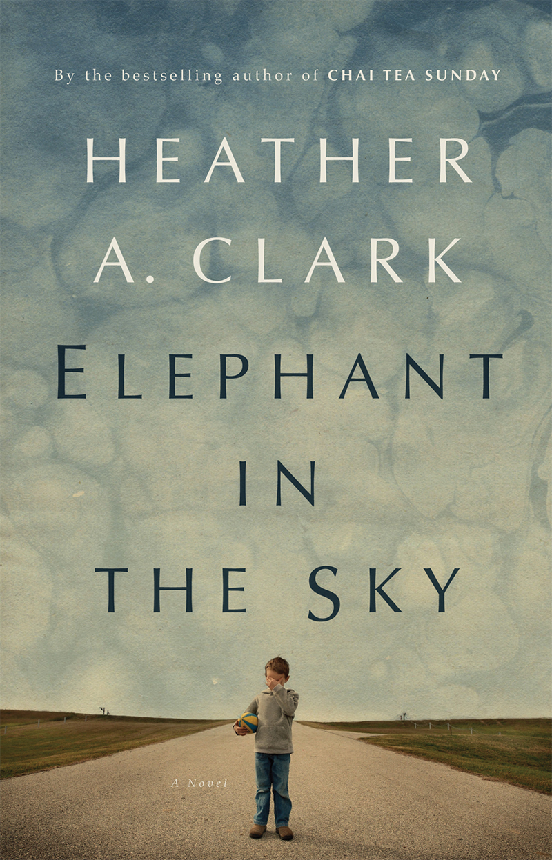 Elephant in the Sky (2014) by Heather A. Clark