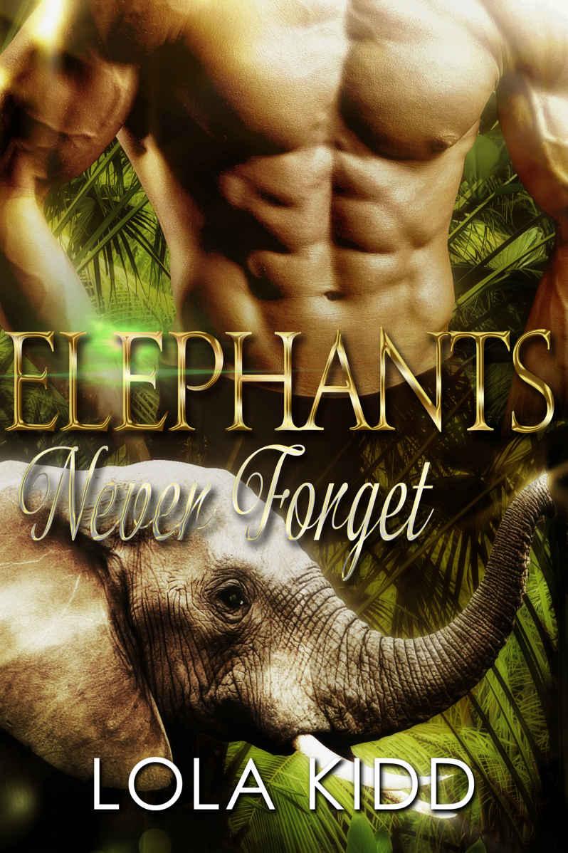 Elephants Never Forget: BBW Shapeshifter Romance (Safari Shifters Book 3)