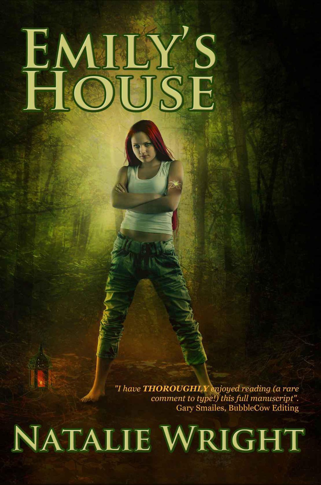 Emily's House (The Akasha Chronicles) by Wright, Natalie