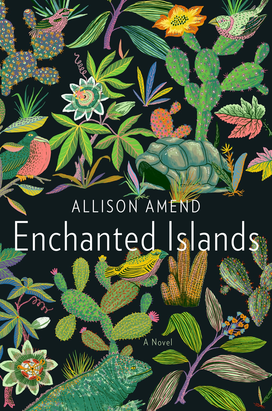 Enchanted Islands (2016) by Allison Amend