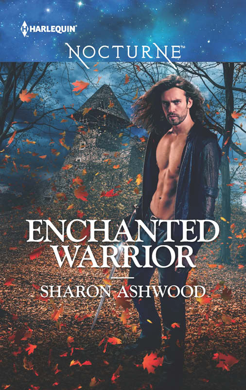 Enchanted Warrior (2015)