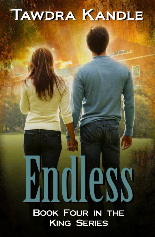 Endless by Tawdra Kandle