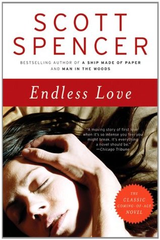 Endless Love (2003) by Scott Spencer