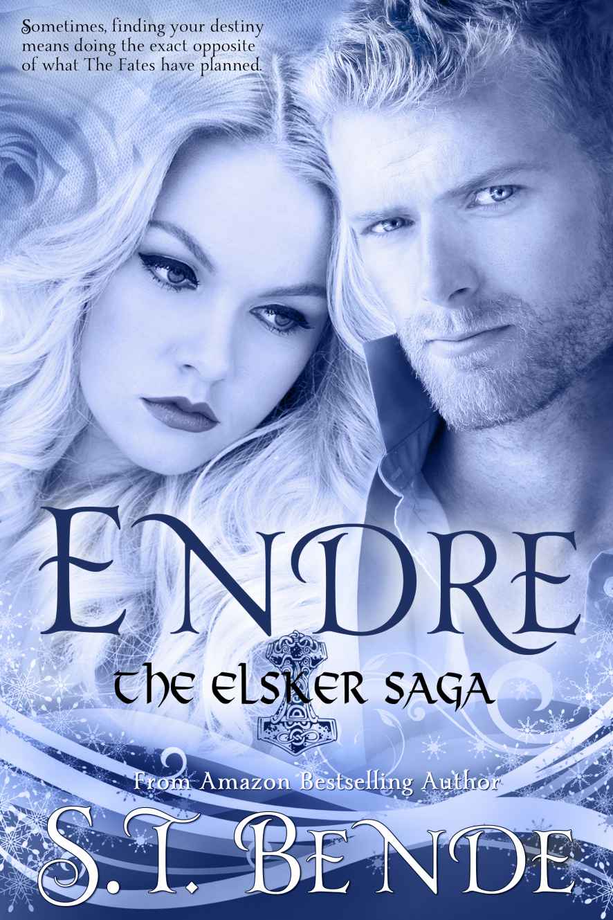 Endre (Elsker Saga Book 2) by S.T. Bende