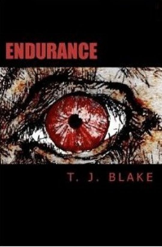 Endurance by T. J. Blake