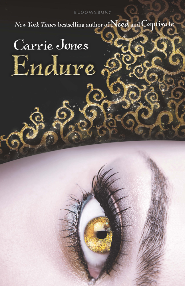 Endure (2012) by Carrie Jones