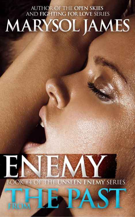 Enemy From The Past (Unseen Enemy Book 4) by Marysol James