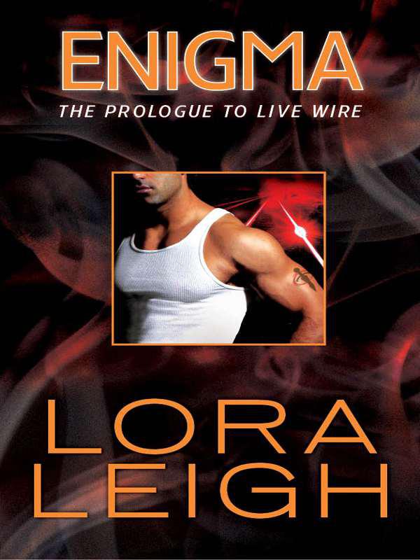 Enigma: Prologue to Live Wire