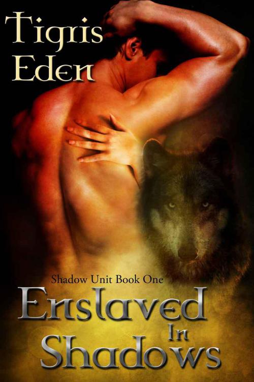 Enslaved in Shadows by Tigris Eden