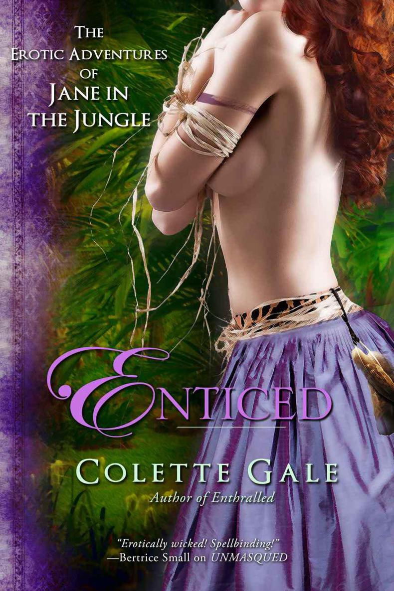 Enticed: An Erotic Sacrifice by Colette Gale