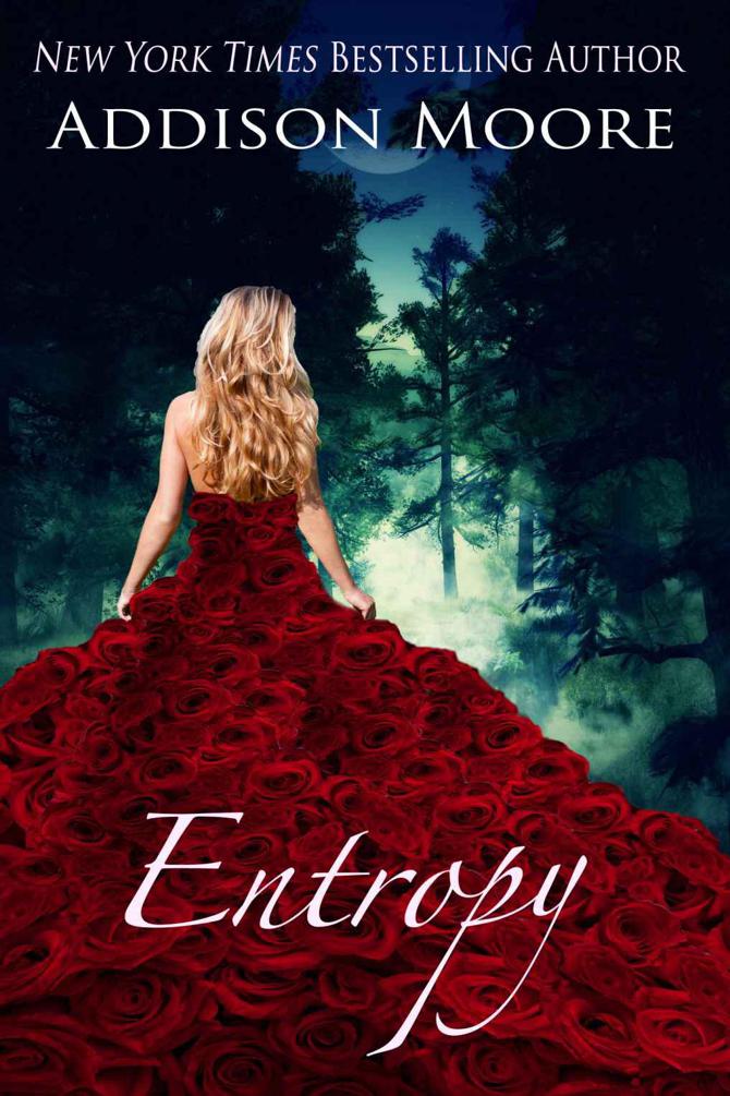 Entropy (The Countenance Trilogy 3) by Moore, Addison