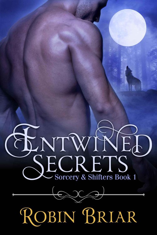 Entwined Secrets by Robin Briar