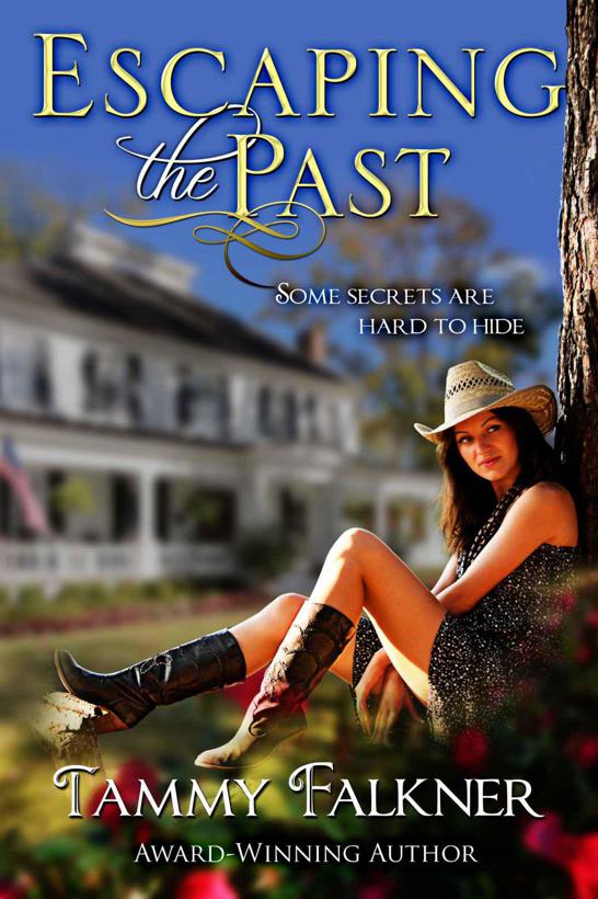 Escaping the Past (Wester Farms) by Falkner, Tammy