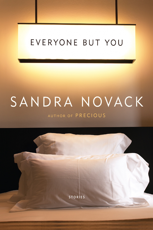 Everyone but You (2011) by Sandra Novack