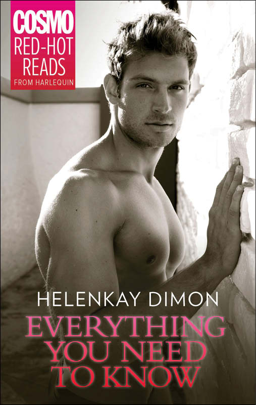 Everything You Need to Know (2013) by HelenKay Dimon