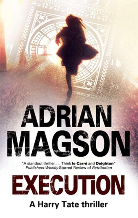 Execution (A Harry Tate Thriller) by Magson, Adrian