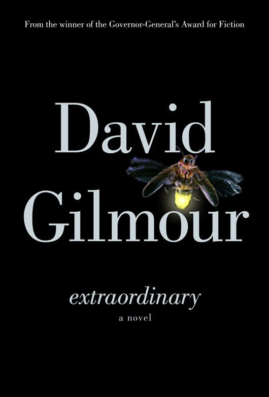 Extraordinary by David  Gilmour