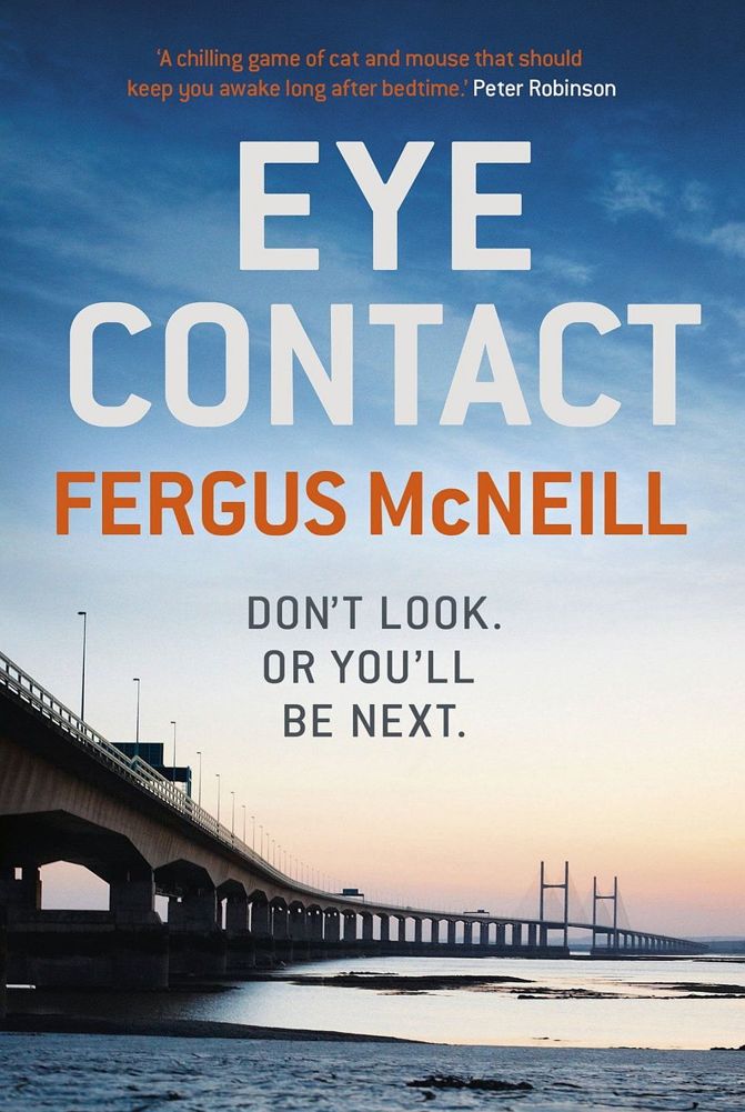 Eye Contact by Fergus McNeill