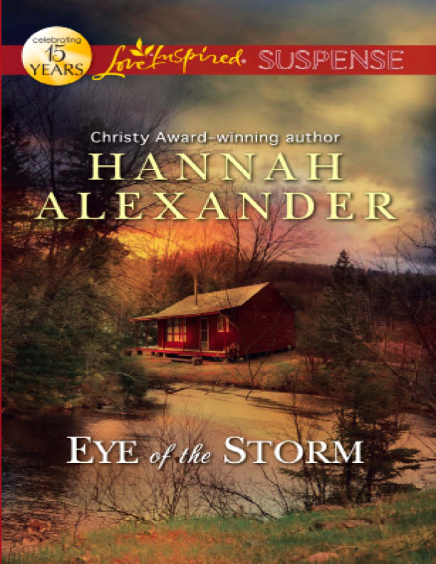 Eye of the Storm (2011) by Hannah Alexander