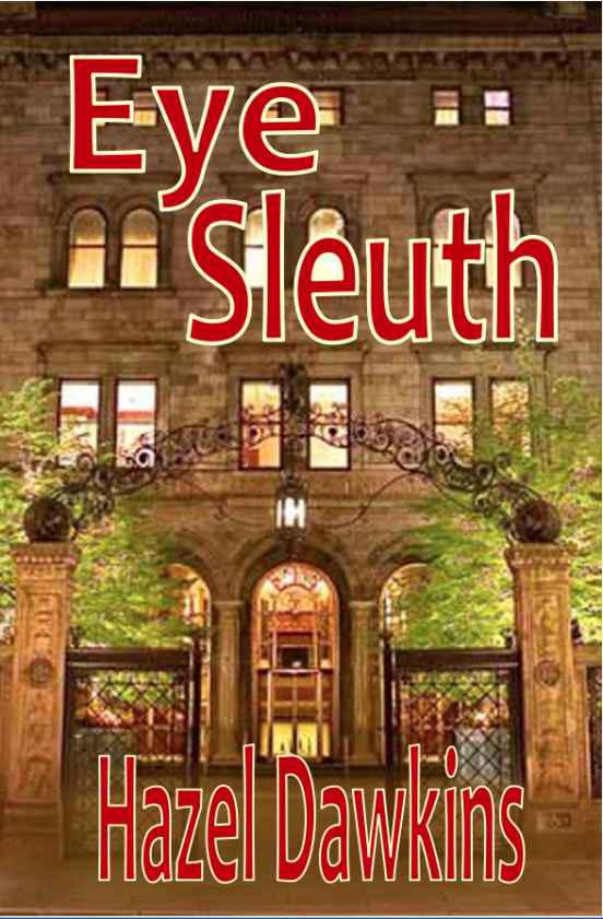 Eye Sleuth by Hazel Dawkins