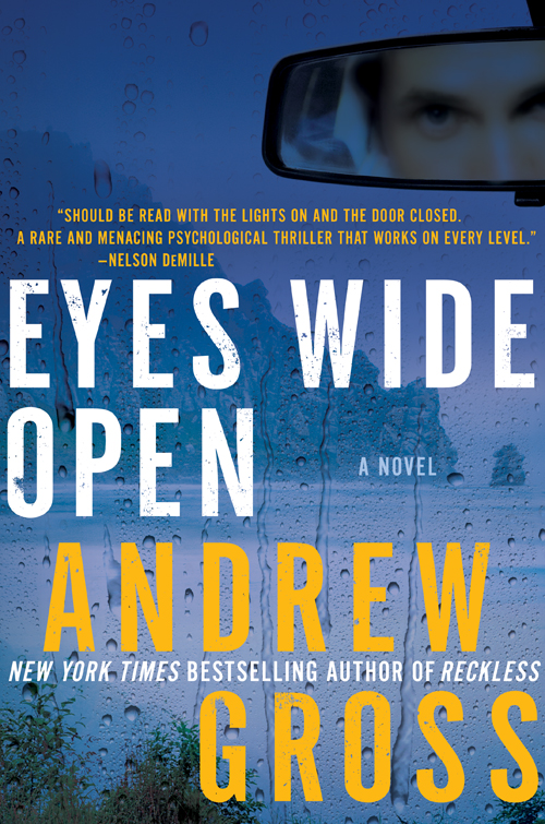 Eyes Wide Open (2011) by Andrew Gross