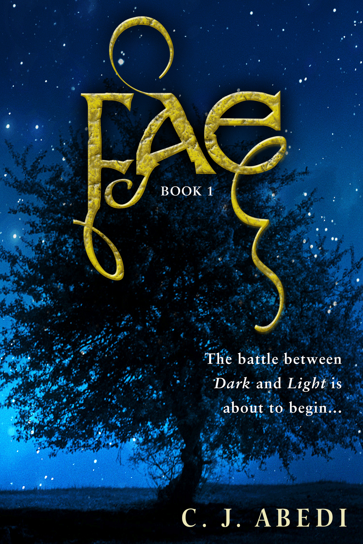 Fae (2013) by C. J. Abedi