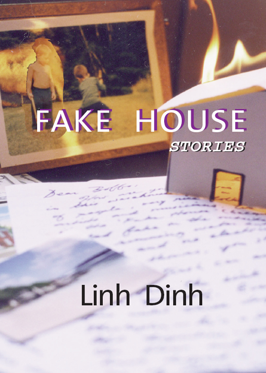 Fake House by Linh Dinh