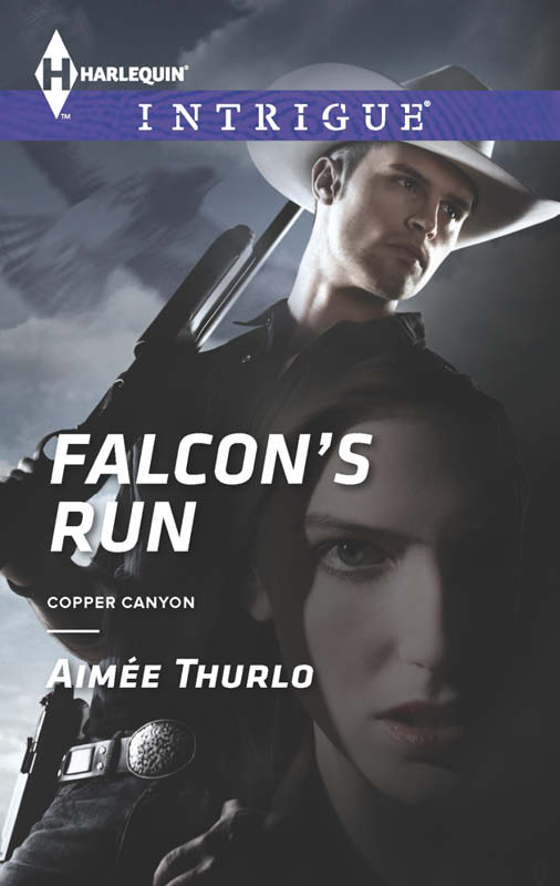 Falcon's Run (2013) by Aimee Thurlo