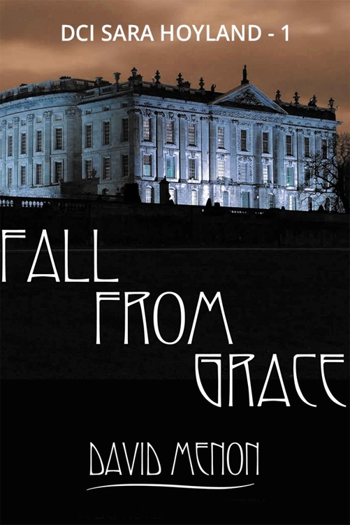 Fall From Grace by Menon, David