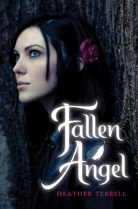 Fallen Angel by Heather Terrell