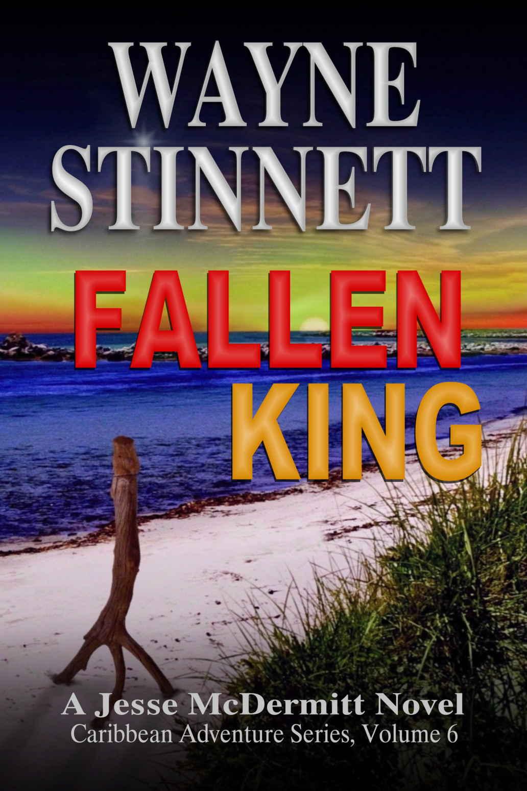 Fallen King: A Jesse McDermitt Novel (Caribbean Adventure Series Book 6) by Wayne Stinnett