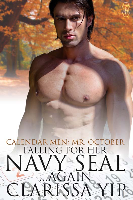 Falling For Her Navy Seal…Again (2014) by Clarissa Yip