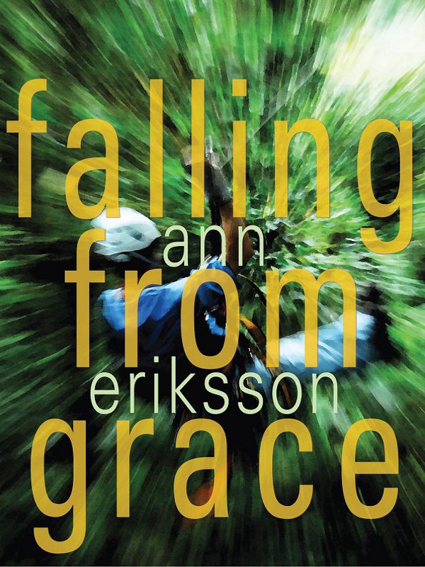 Falling From Grace by Ann Eriksson