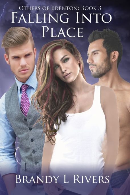 Falling Into Place by Brandy L Rivers