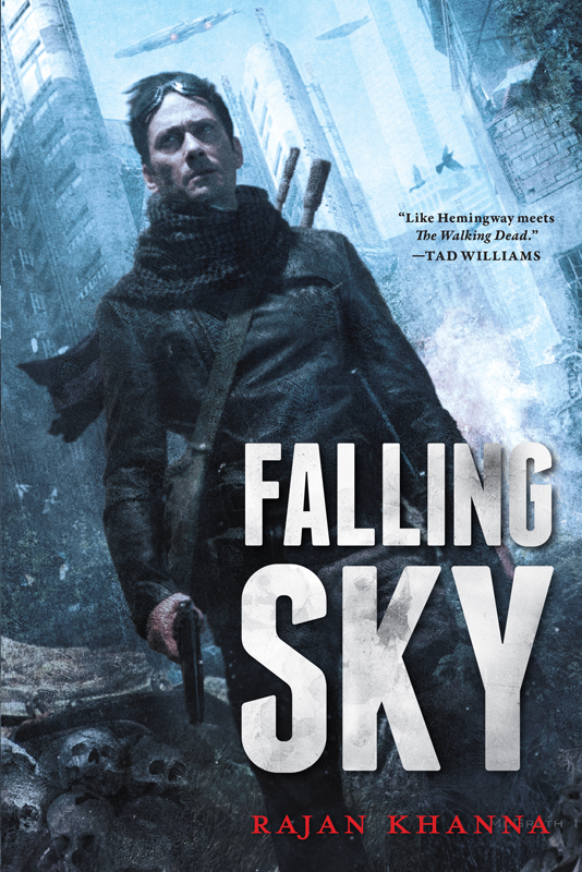 Falling Sky (2014) by Rajan Khanna