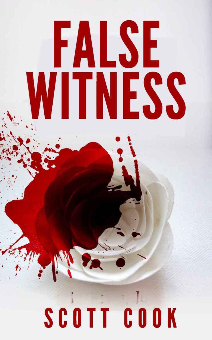 False Witness by Scott Cook