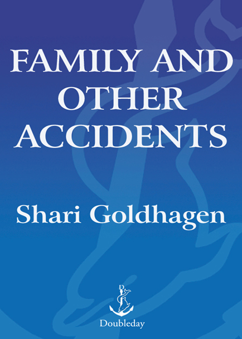 Family and Other Accidents (2006) by Shari Goldhagen