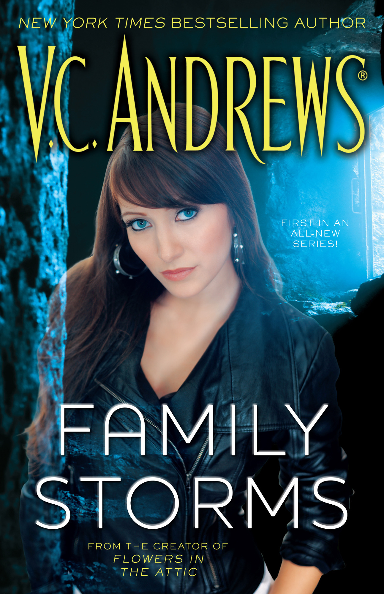Family Storms by V.C. Andrews