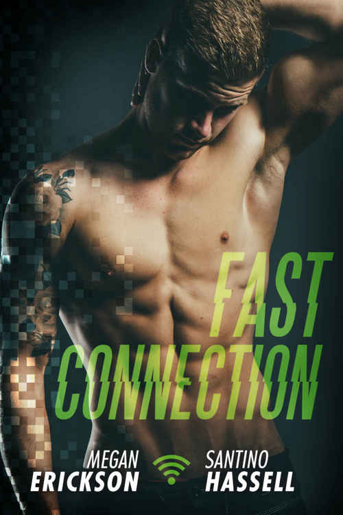 Fast Connection (Cyberlove #2) by Megan Erickson