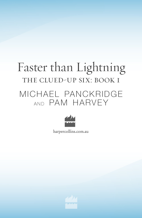 Faster Than Lightning by Pam Harvey