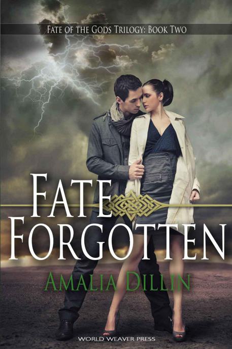 Fate Forgotten by Dillin, Amalia