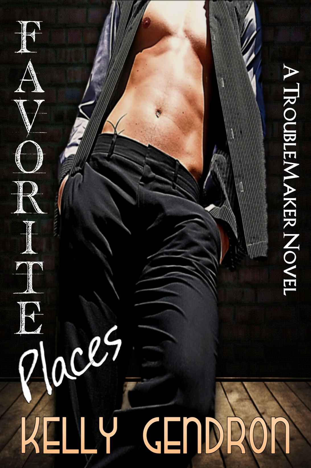 Favorite Places (A TroubleMaker Novel, #2)