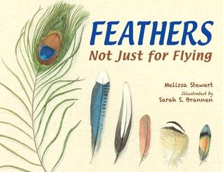 Feathers: Not Just for Flying (2014) by Melissa Stewart