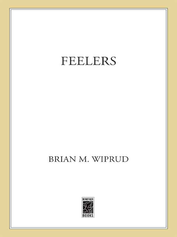 Feelers