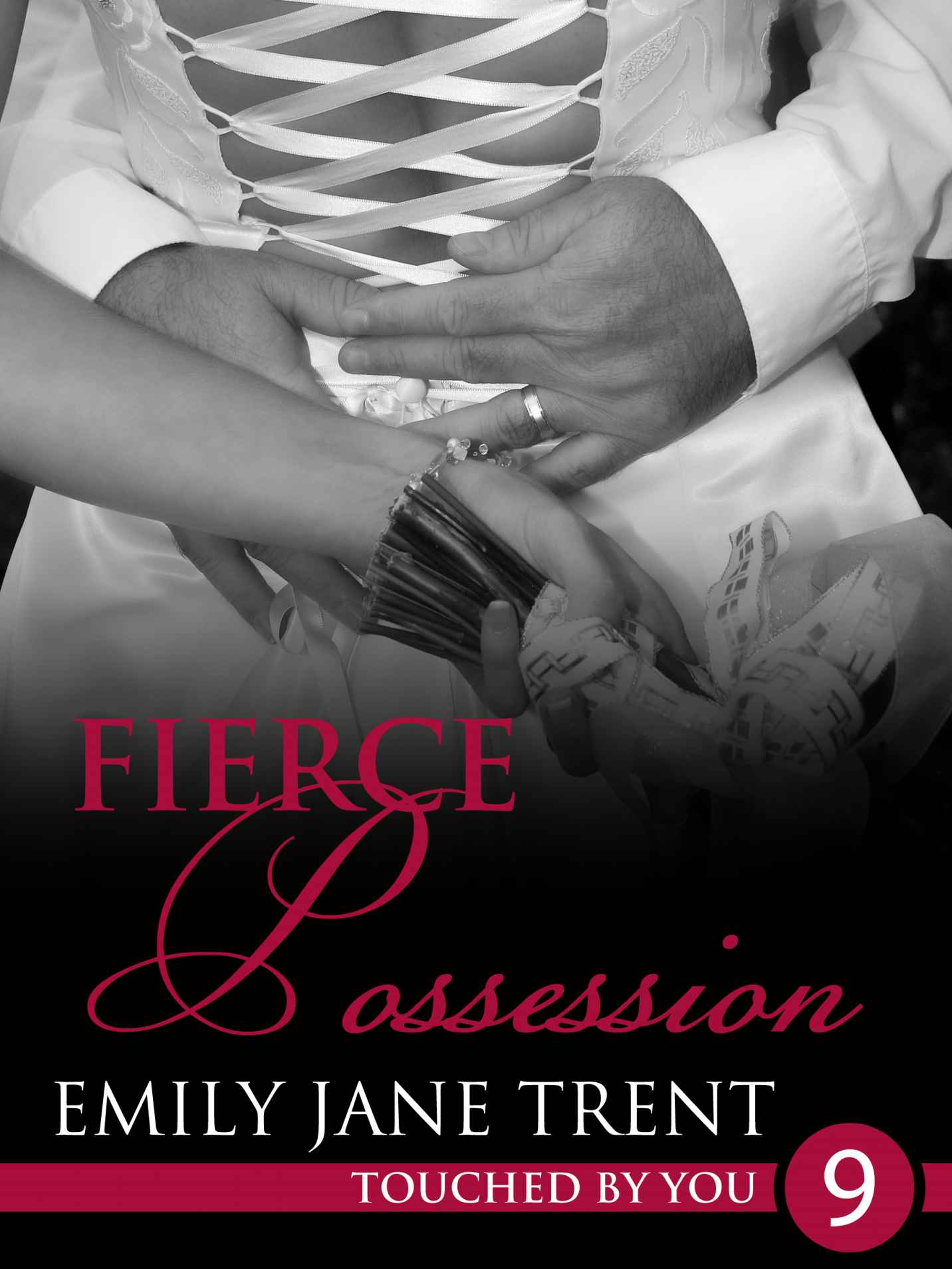 Fierce Possession (Touched By You 9) by Trent, Emily Jane