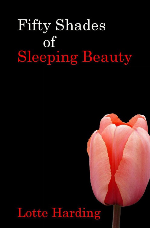 Fifty Shades of Sleeping Beauty by Harding, Lotte