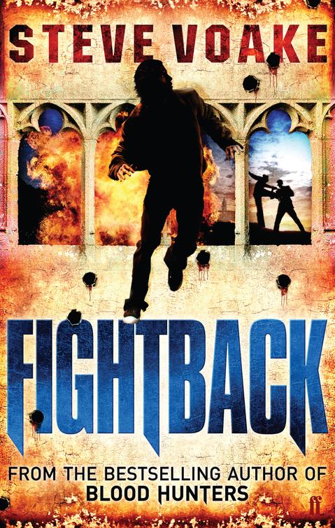 Fightback (2010) by Steve Voake