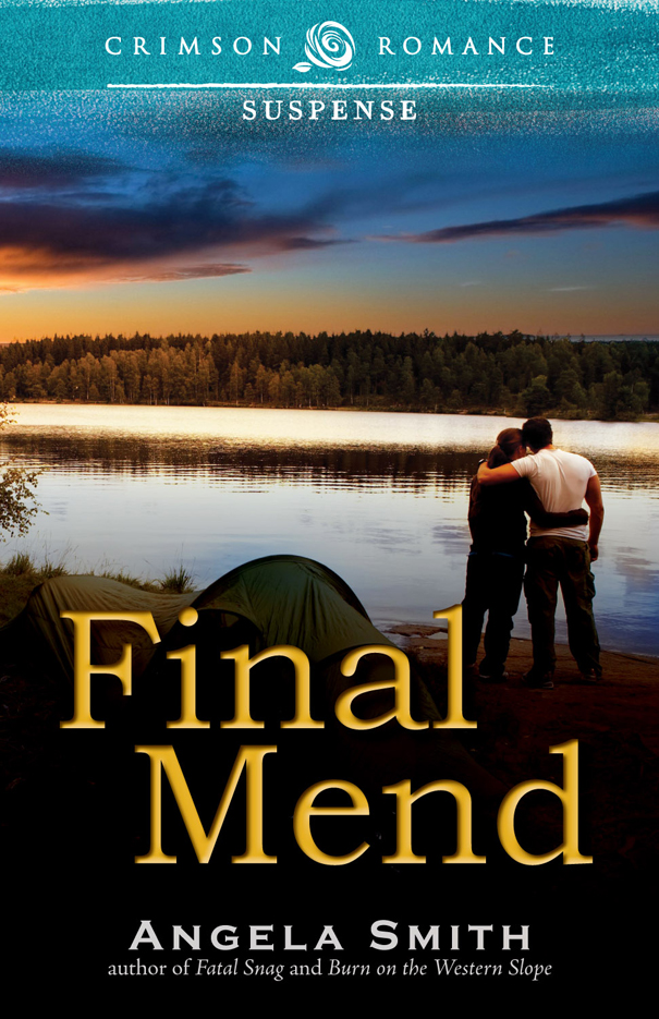 Final Mend (2014) by Angela Smith