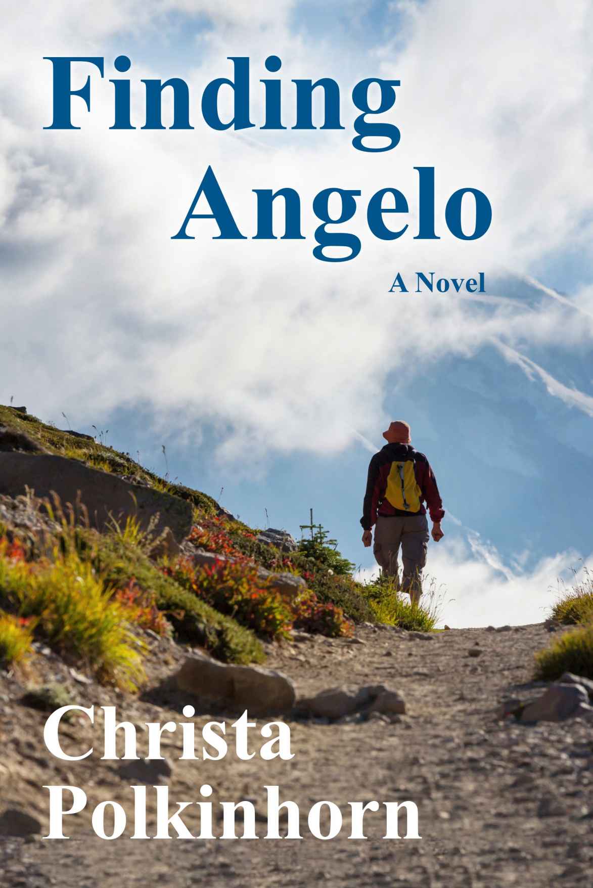 Finding Angelo (The Wine Lover's Daughter, Book 2) by Christa Polkinhorn